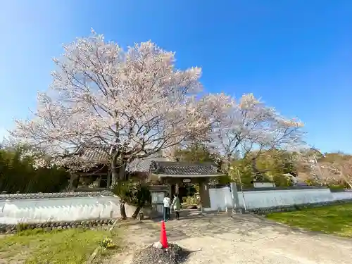 善性寺(三重県)
