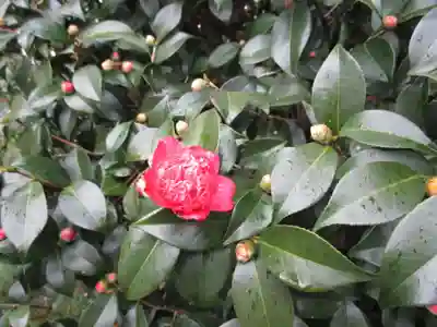 城南宮(京都府)