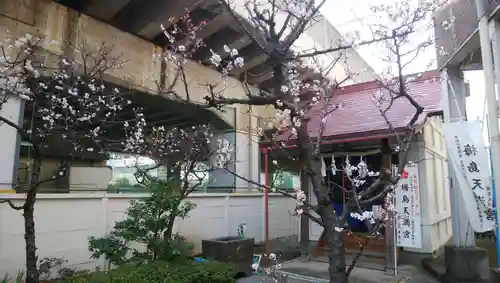 梅島天満宮の自然