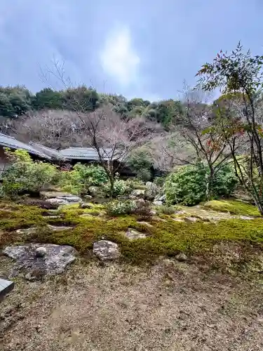 実相院門跡の{uncategorized: "未分類", other: "その他", undefined: "問題あり", building: "その他建物", grave: "お墓", sacred_gate: "鳥居", guardian: "狛犬", statue: "像", buddha: "仏像", history: "歴史", nature: "自然", garden: "庭園", animal: "動物", pagoda: "塔", temizu: "手水舎", mountain_gate: "山門・神門", sanctuary: "本殿・本堂", subordinate: "末社・摂社", art: "芸術", scenery: "景色", jizo: "地蔵", ema: "絵馬", goshuin: "御朱印", omikuji: "おみくじ", items: "授与品その他", amulet: "お守り", goshuincho: "御朱印帳", eats: "食事", festival: "お祭り", votive_dance: "神楽", shichigosan: "七五三参", wedding: "結婚式", experience: "体験その他", initially: "初詣", around: "周辺", anti_infection: "感染症対策"}