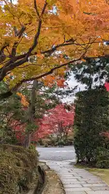 神光院(京都府)