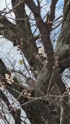 高台寺（高台寿聖禅寺・高臺寺）(京都府)