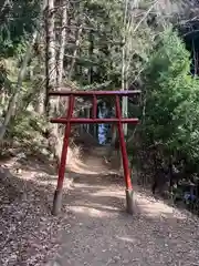 母の白滝神社の鳥居