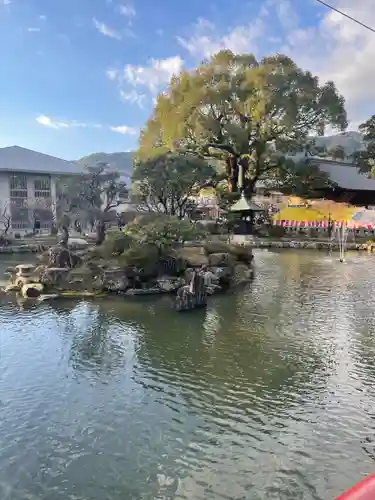 太宰府天満宮(福岡県)