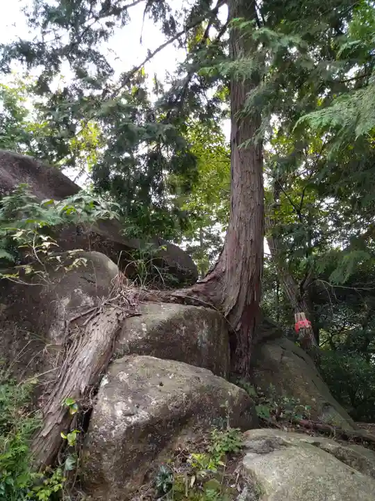 雨宮龍神社(滋賀県)