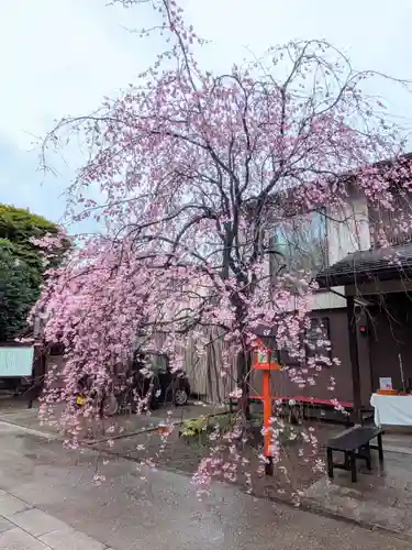 猿田彦神社(東京都)