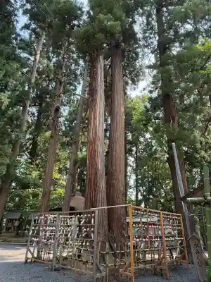 熊野大社(山形県)