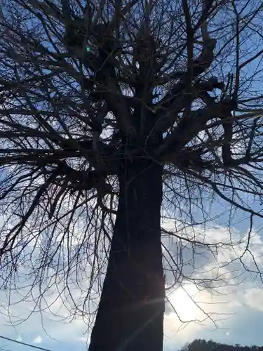 小松神社(栃木県)
