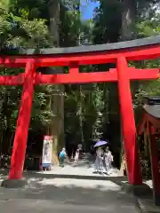 箱根神社の鳥居