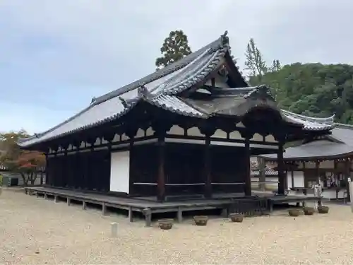 金剛寺(大阪府)