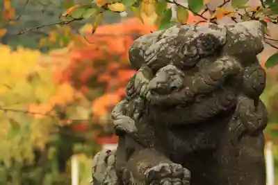 高司神社〜むすびの神の鎮まる社〜の狛犬