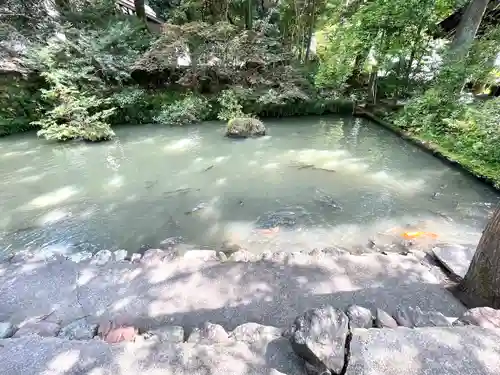 大縣神社の自然