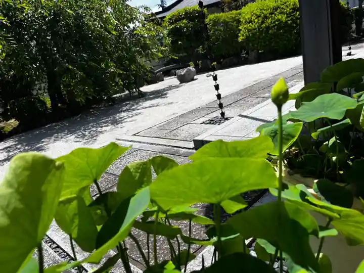 松本山 地福禅寺(滋賀県)