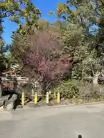 住吉大社(大阪府)