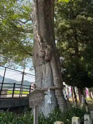 智賀都神社(栃木県)