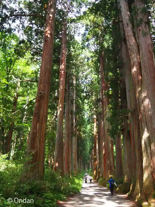 戸隠神社九頭龍社(長野県)