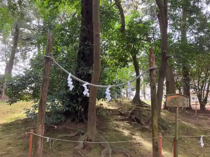 賀茂神社(滋賀県)