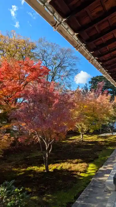 興聖寺(京都府)