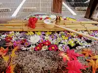 阿邪訶根神社(福島県)