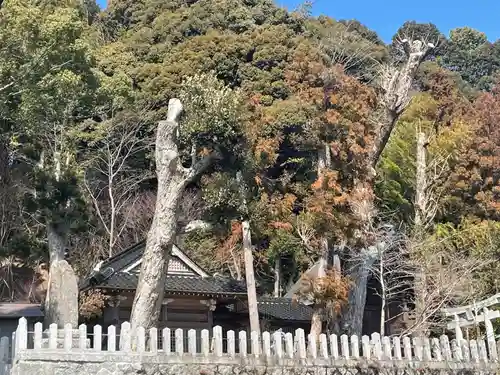 高祖神社の建物その他