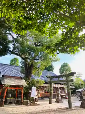 龍ケ崎八坂神社(茨城県)