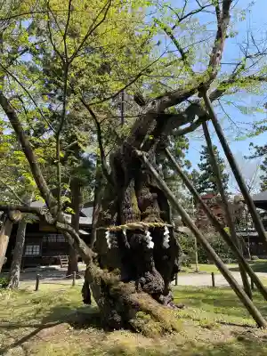 蠶養國神社(福島県)