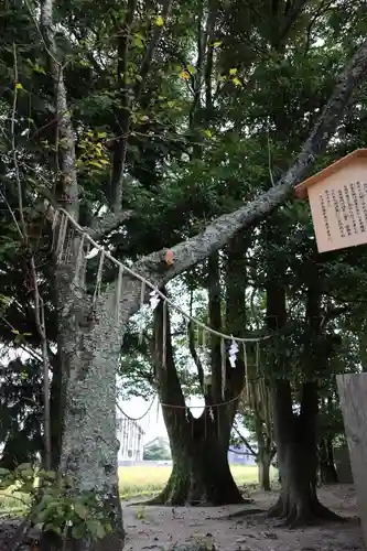 万九千社(島根県)