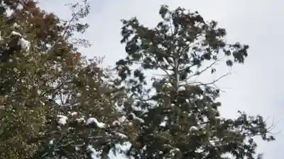 梅宮大社(京都府)