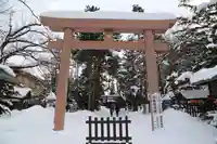 琴似神社の鳥居