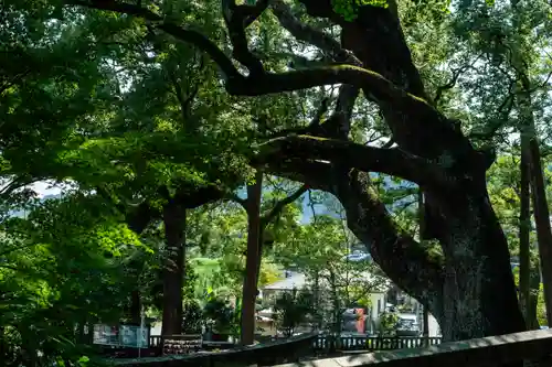 事任八幡宮(静岡県)