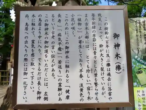 新田神社の歴史