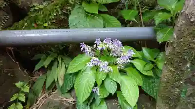 養食山 常泉寺(神奈川県)