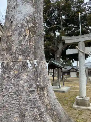 雷電神社(茨城県)