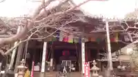 金剛宝寺(紀三井寺)の本殿・本堂