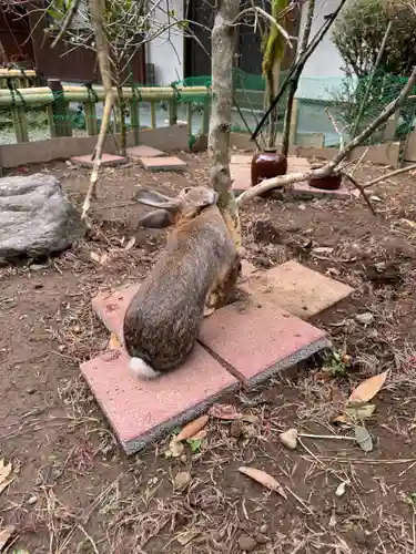 天岩戸神社(宮崎県)