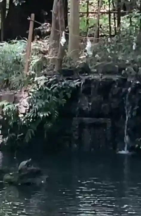 武蔵一宮氷川神社(埼玉県)