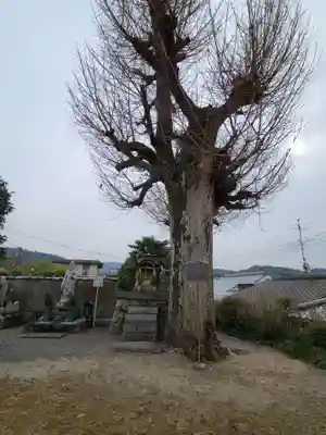 正覚院(京都府)