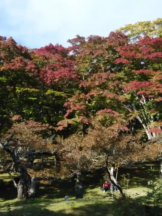 土津神社|こどもと出世の神さまの自然
