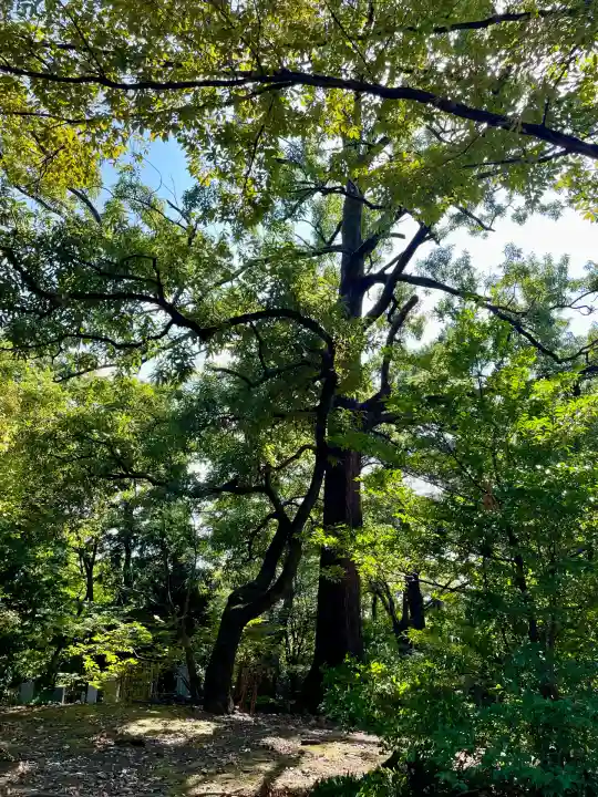 金毘羅神社(東京都)