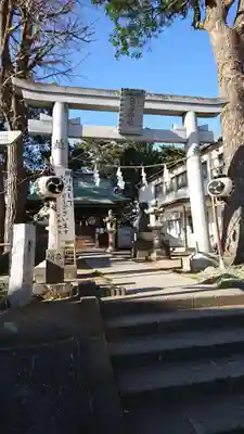 安房神社の鳥居