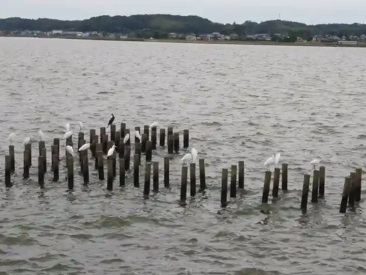 水神社(茨城県)