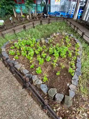川越八幡宮(埼玉県)