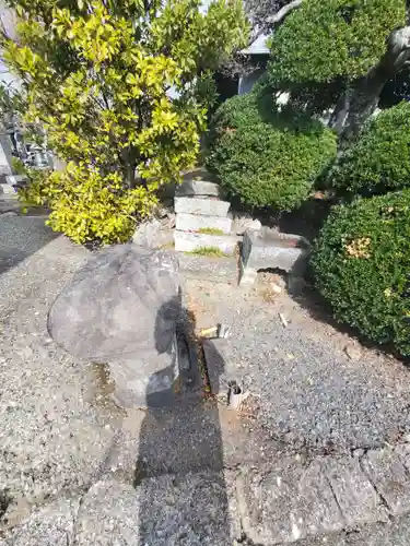 観音寺 (奥戸町)(栃木県)