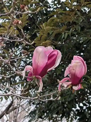潮田神社(神奈川県)