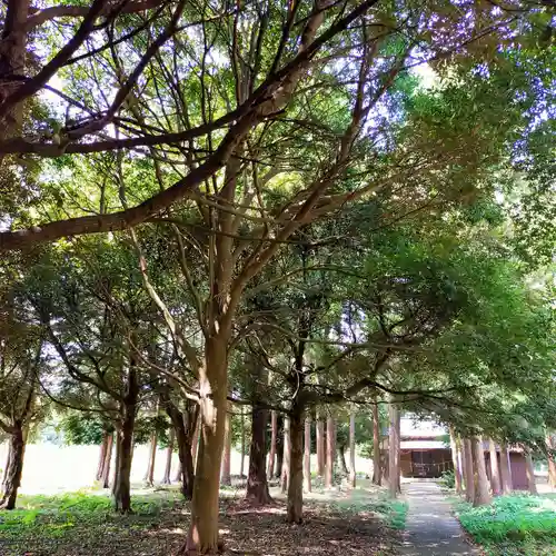 火皇子神社(千葉県)