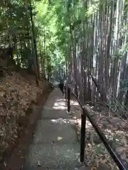 神龍八大龍王神社の自然