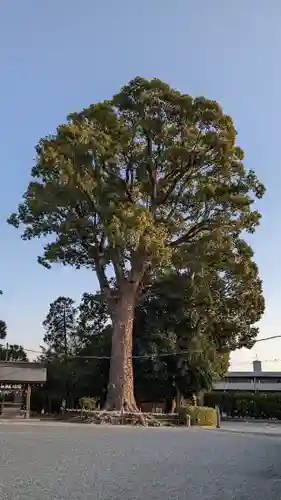 健軍神社のその他建物
