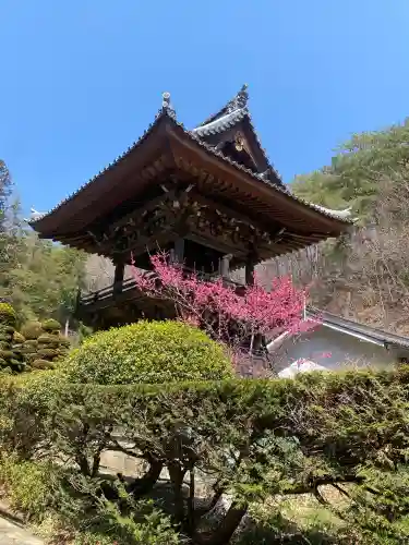 安楽寺の{uncategorized: "未分類", other: "その他", undefined: "問題あり", building: "その他建物", grave: "お墓", sacred_gate: "鳥居", guardian: "狛犬", statue: "像", buddha: "仏像", history: "歴史", nature: "自然", garden: "庭園", animal: "動物", pagoda: "塔", temizu: "手水舎", mountain_gate: "山門・神門", sanctuary: "本殿・本堂", subordinate: "末社・摂社", art: "芸術", scenery: "景色", jizo: "地蔵", ema: "絵馬", goshuin: "御朱印", omikuji: "おみくじ", items: "授与品その他", amulet: "お守り", goshuincho: "御朱印帳", eats: "食事", festival: "お祭り", votive_dance: "神楽", shichigosan: "七五三参", wedding: "結婚式", experience: "体験その他", initially: "初詣", around: "周辺", anti_infection: "感染症対策"}