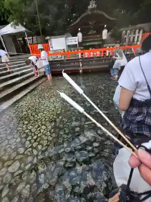 賀茂御祖神社（下鴨神社）(京都府)