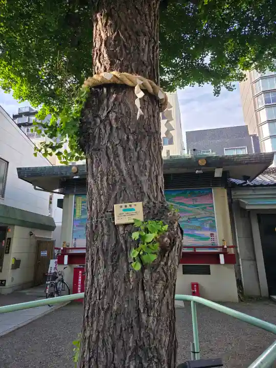 矢先稲荷神社の{uncategorized: "未分類", other: "その他", undefined: "問題あり", building: "その他建物", grave: "お墓", sacred_gate: "鳥居", guardian: "狛犬", statue: "像", buddha: "仏像", history: "歴史", nature: "自然", garden: "庭園", animal: "動物", pagoda: "塔", temizu: "手水舎", mountain_gate: "山門・神門", sanctuary: "本殿・本堂", subordinate: "末社・摂社", art: "芸術", scenery: "景色", jizo: "地蔵", ema: "絵馬", goshuin: "御朱印", omikuji: "おみくじ", items: "授与品その他", amulet: "お守り", goshuincho: "御朱印帳", eats: "食事", festival: "お祭り", votive_dance: "神楽", shichigosan: "七五三参", wedding: "結婚式", experience: "体験その他", initially: "初詣", around: "周辺", anti_infection: "感染症対策"}